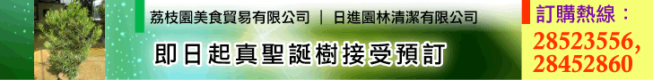 新年華紙行 新年華紙行